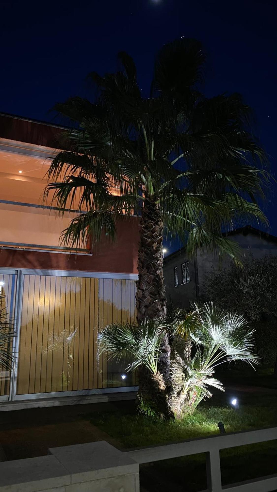 Ivni Apartmani Novigrad  Екстер'єр фото