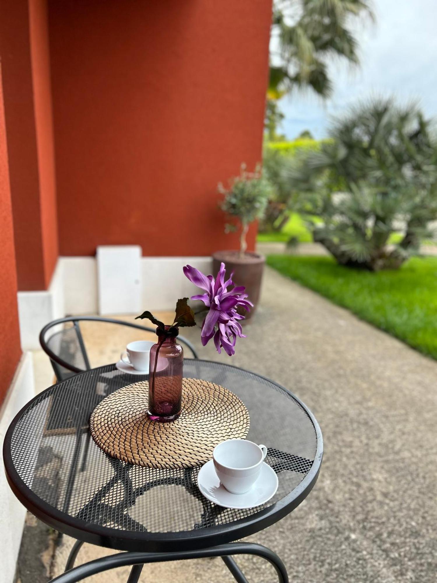 Ivni Apartmani Novigrad  Екстер'єр фото